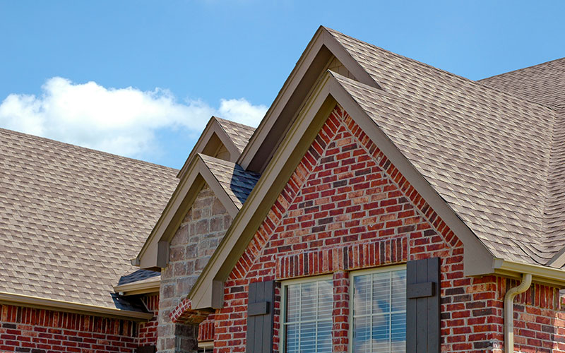 Roof Cleaning